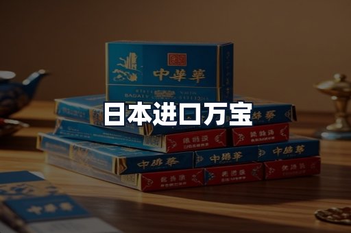 日本进口万宝